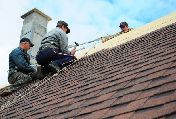 Best Roofing Contractor Near Me  in Glenville, WV